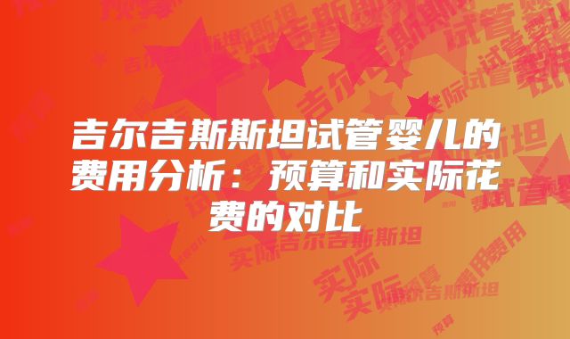 吉尔吉斯斯坦试管婴儿的费用分析:预算和实际花费的对比