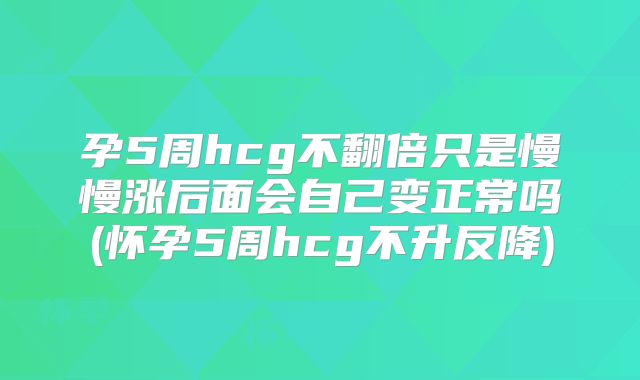 孕5周hcg不翻倍只是慢慢涨后面会自己变正常吗(怀孕5周hcg不升反降)
