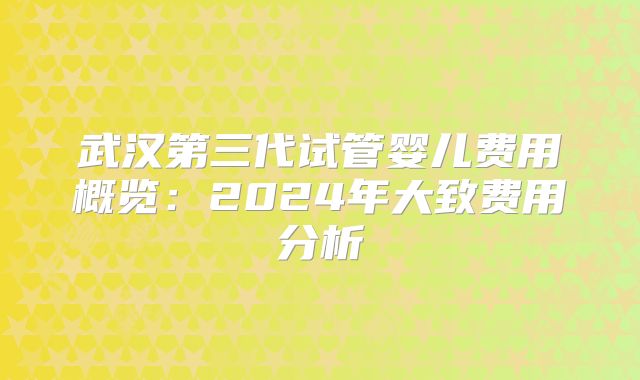 武汉第三代试管婴儿费用概览：2024年大致费用分析