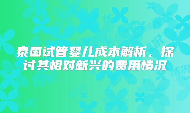 泰国试管婴儿成本解析，探讨其相对新兴的费用情况