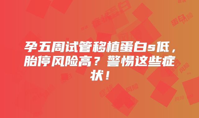 孕五周试管移植蛋白s低,胎停风险高?警惕这些症状!