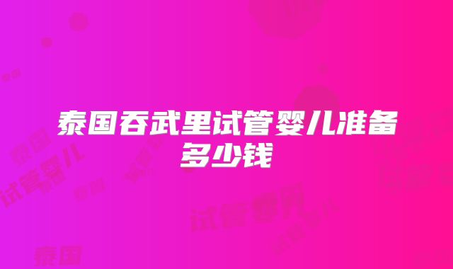 泰国吞武里试管婴儿准备多少钱
