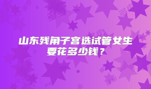 山东残角子宫选试管女生要花多少钱？