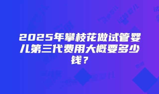 2025年攀枝花做试管婴儿第三代费用大概要多少钱？
