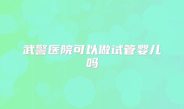武警医院可以做试管婴儿吗