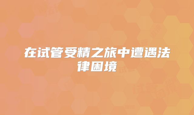 在试管受精之旅中遭遇法律困境