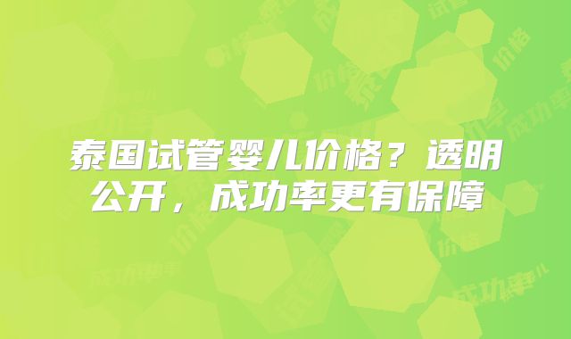泰国试管婴儿价格?透明公开,成功率更有保障