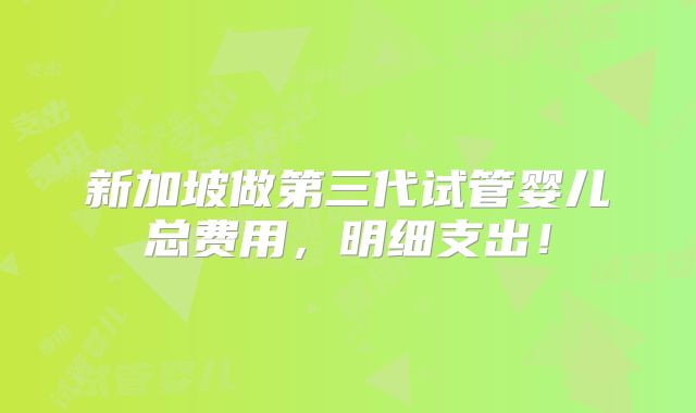 新加坡做第三代试管婴儿总费用，明细支出！