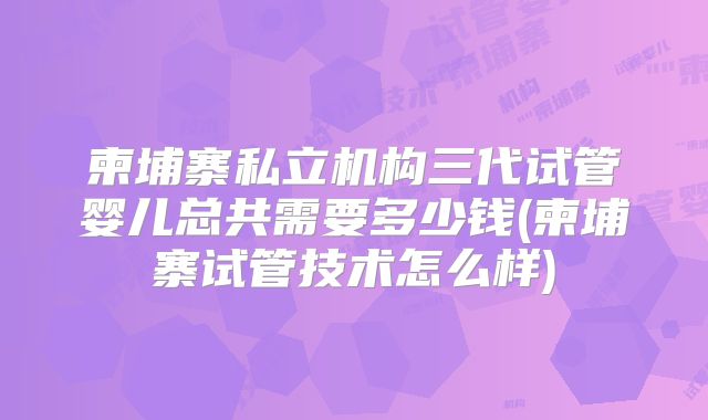 柬埔寨私立机构三代试管婴儿总共需要多少钱(柬埔寨试管技术怎么样)