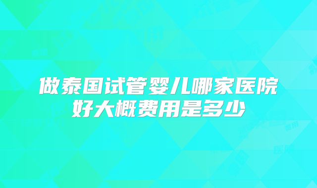 做泰国试管婴儿哪家医院好大概费用是多少