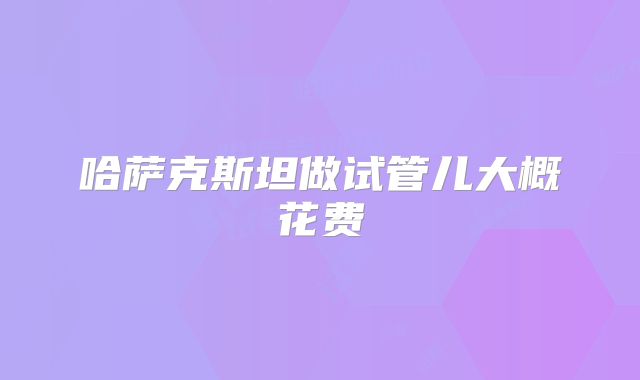 哈萨克斯坦做试管儿大概花费