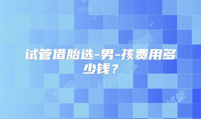 试管借胎选-男-孩费用多少钱?