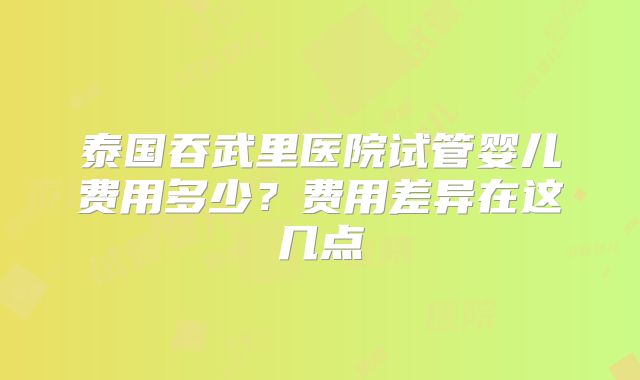 泰国吞武里医院试管婴儿费用多少?费用差异在这几点
