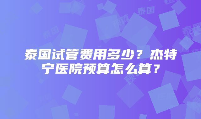 泰国试管费用多少?杰特宁医院预算怎么算?