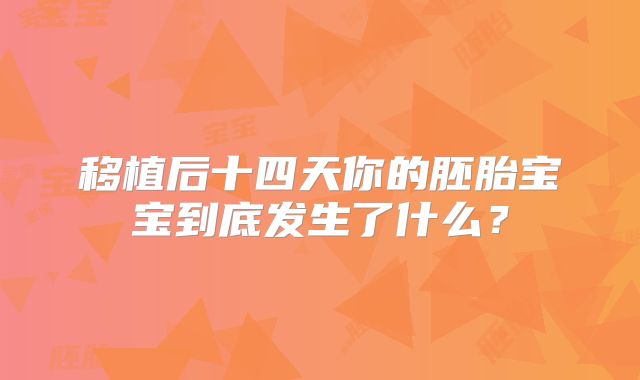 移植后十四天你的胚胎宝宝到底发生了什么？