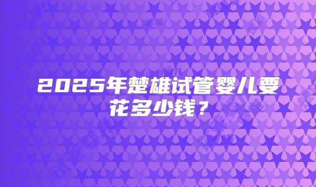 2025年楚雄试管婴儿要花多少钱？