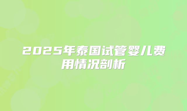 2025年泰国试管婴儿费用情况剖析