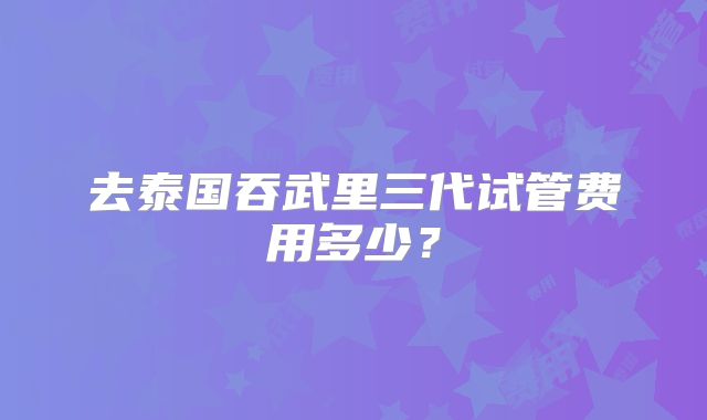 去泰国吞武里三代试管费用多少？