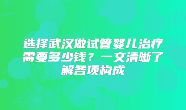选择武汉做试管婴儿治疗需要多少钱？一文清晰了解各项构成