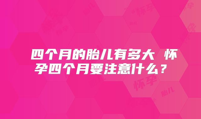 ​四个月的胎儿有多大 怀孕四个月要注意什么？