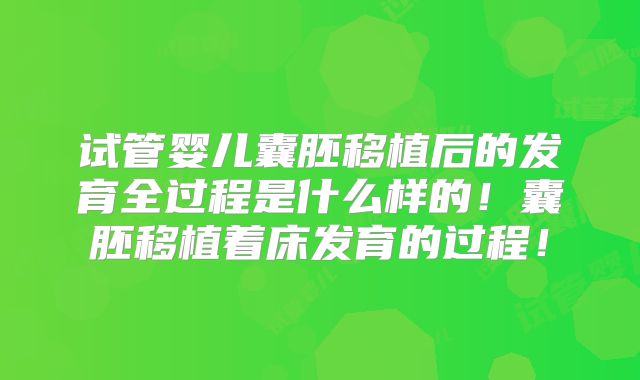 试管婴儿囊胚移植后的发育全过程是什么样的！囊胚移植着床发育的过程！