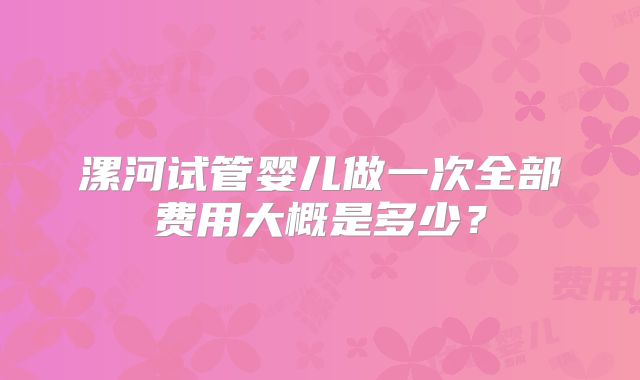 漯河试管婴儿做一次全部费用大概是多少?