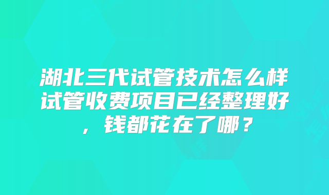 湖北三代试管技术怎么样试管收费项目已经整理好,钱都花在了哪?