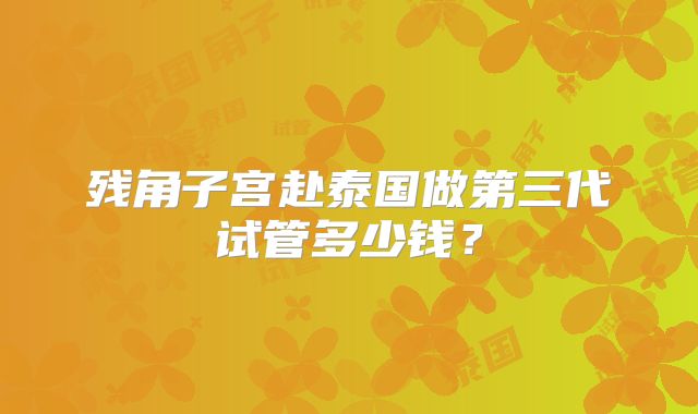 残角子宫赴泰国做第三代试管多少钱？
