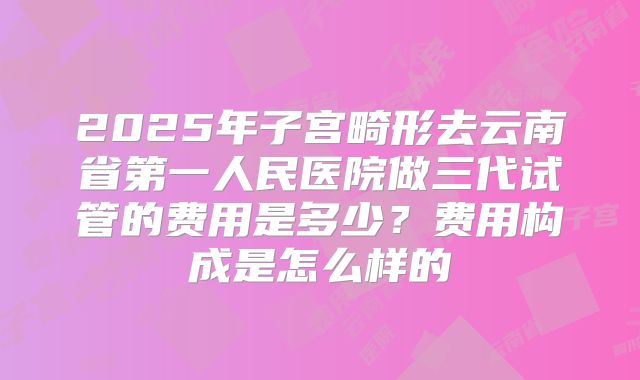 2025年子宫畸形去云南省第一人民医院做三代试管的费用是多少？费用构成是怎么样的