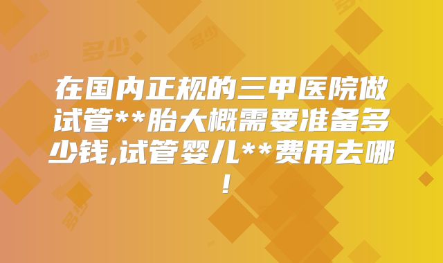 在国内正规的三甲医院做试管**胎大概需要准备多少钱,试管婴儿**费用去哪！