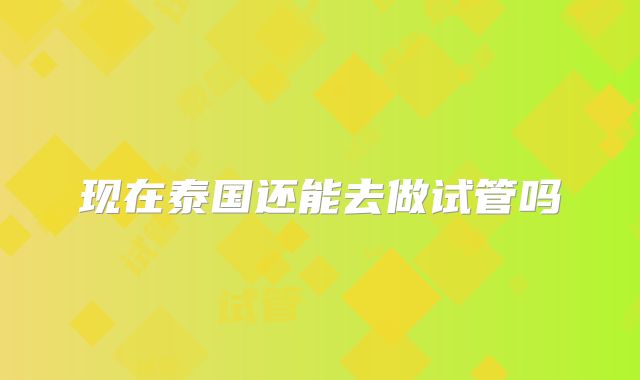 现在泰国还能去做试管吗