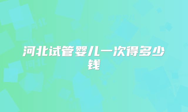 河北试管婴儿一次得多少钱