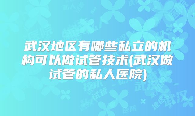 武汉地区有哪些私立的机构可以做试管技术(武汉做试管的私人医院)