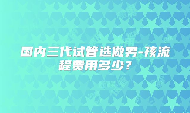 国内三代试管选做男-孩流程费用多少？
