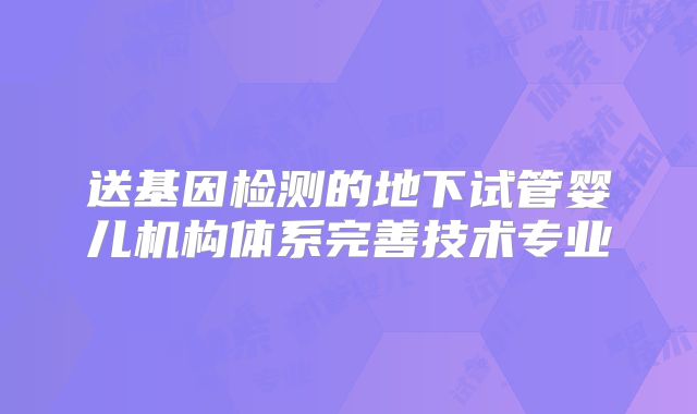 送基因检测的地下试管婴儿机构体系完善技术专业