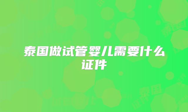 泰国做试管婴儿需要什么证件