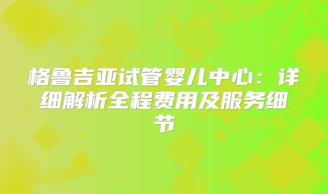 格鲁吉亚试管婴儿中心：详细解析全程费用及服务细节