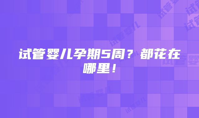 试管婴儿孕期5周?都花在哪里!