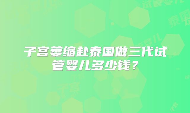 子宫萎缩赴泰国做三代试管婴儿多少钱?