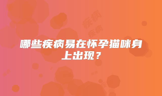 哪些疾病易在怀孕猫咪身上出现？