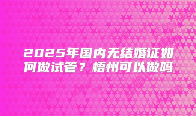 2025年国内无结婚证如何做试管?梧州可以做吗