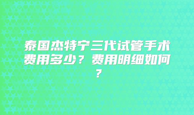泰国杰特宁三代试管手术费用多少？费用明细如何？