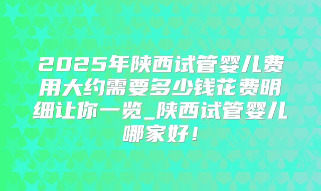 2025年陕西试管婴儿费用大约需要多少钱花费明细让你一览_陕西试管婴儿哪家好！