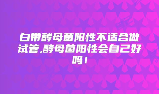 白带酵母菌阳性不适合做试管,酵母菌阳性会自己好吗！