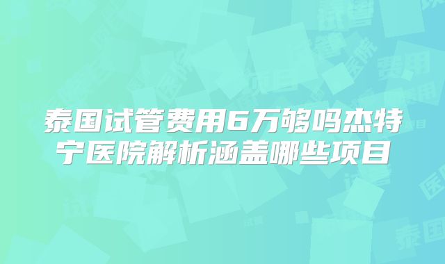 泰国试管费用6万够吗杰特宁医院解析涵盖哪些项目
