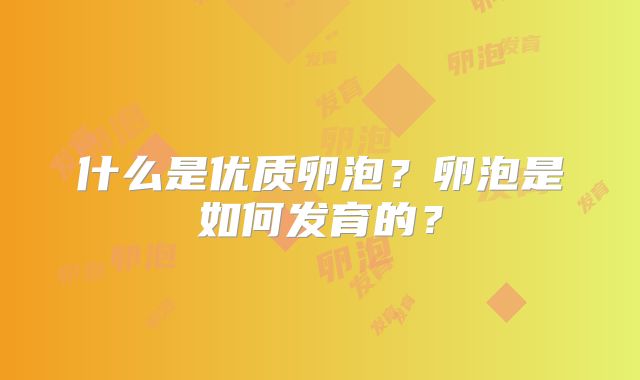 什么是优质卵泡？卵泡是如何发育的？