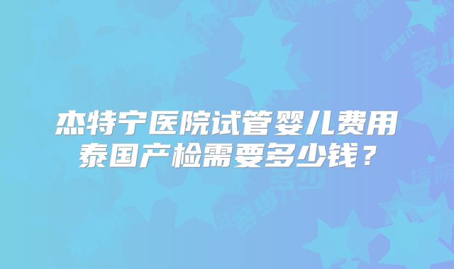 杰特宁医院试管婴儿费用泰国产检需要多少钱？
