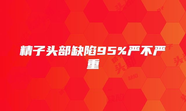 精子头部缺陷95%严不严重