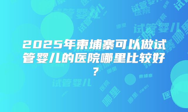 2025年柬埔寨可以做试管婴儿的医院哪里比较好？