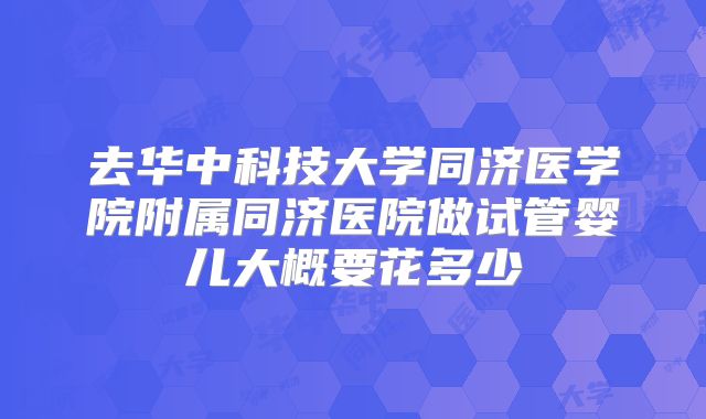去华中科技大学同济医学院附属同济医院做试管婴儿大概要花多少